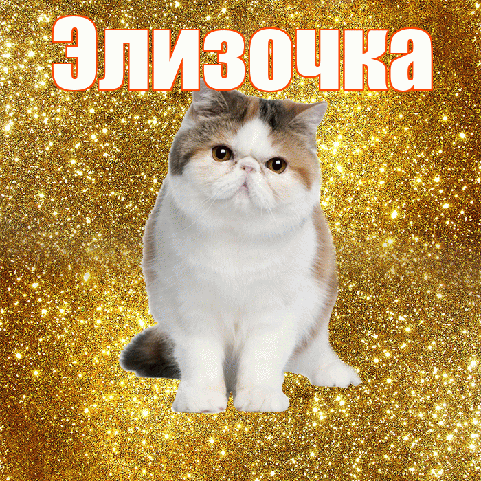 Элизочка! С добрым утром! Красивая открытка !