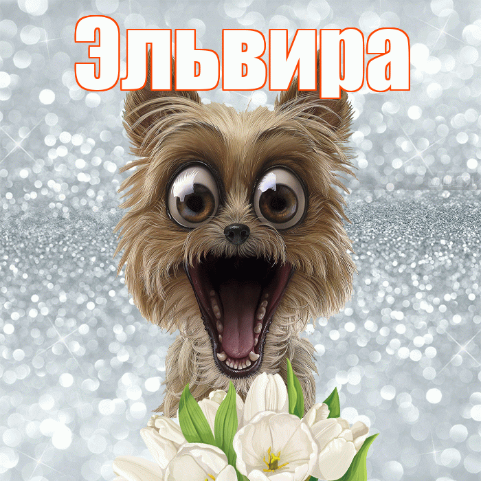 Эльвира! С добрым утром! Красивая открытка Эльвире!