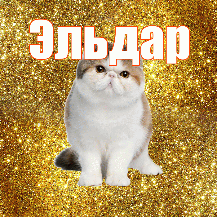 Эльдар! С добрым утром! Красивая открытка Эльдару!