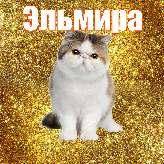 Эльмира! С добрым утром! Красивая открытка Эльмире!
