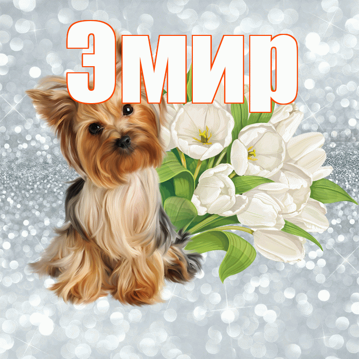 Эмир! С добрым утром! Красивая открытка Эмиру!