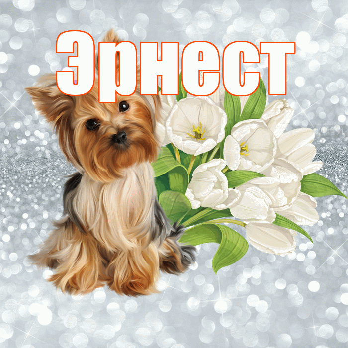 Эрнест! С добрым утром! Красивая открытка Эрнесту!