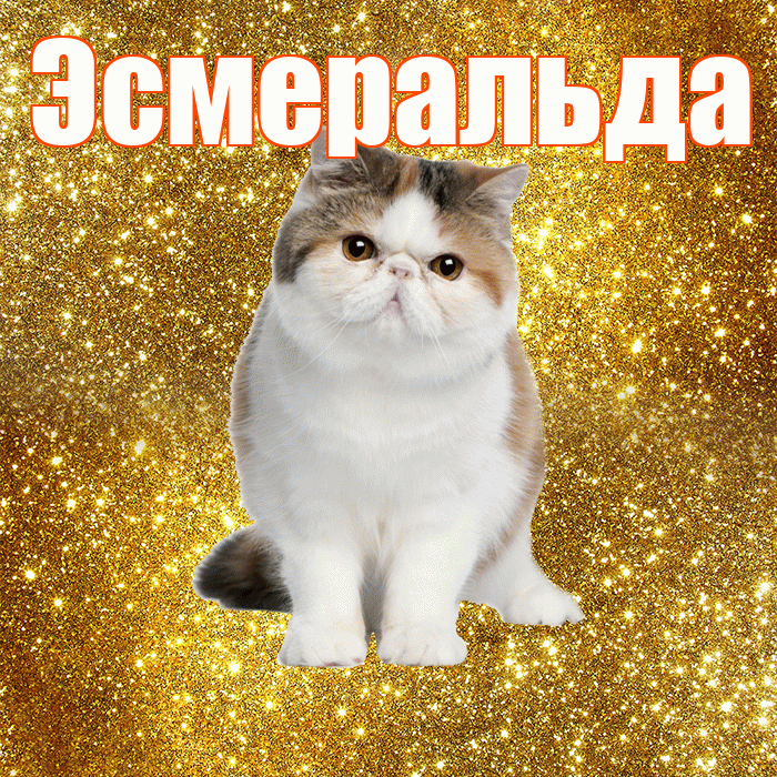 Эсмеральда! С добрым утром! Красивая открытка Эсмеральде!