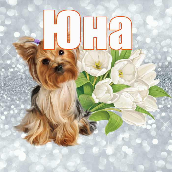 Юна! С добрым утром! Красивая открытка Юной!