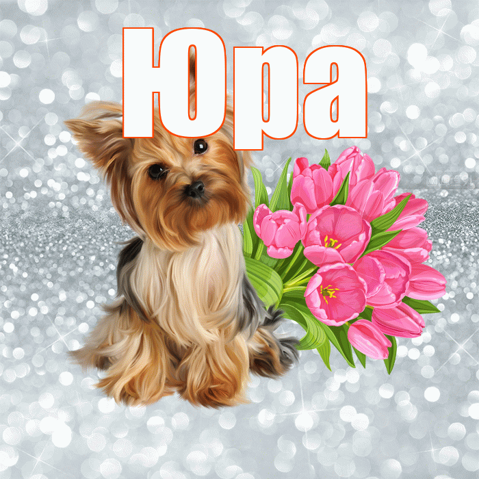Юра! С добрым утром! Красивая открытка Юру!
