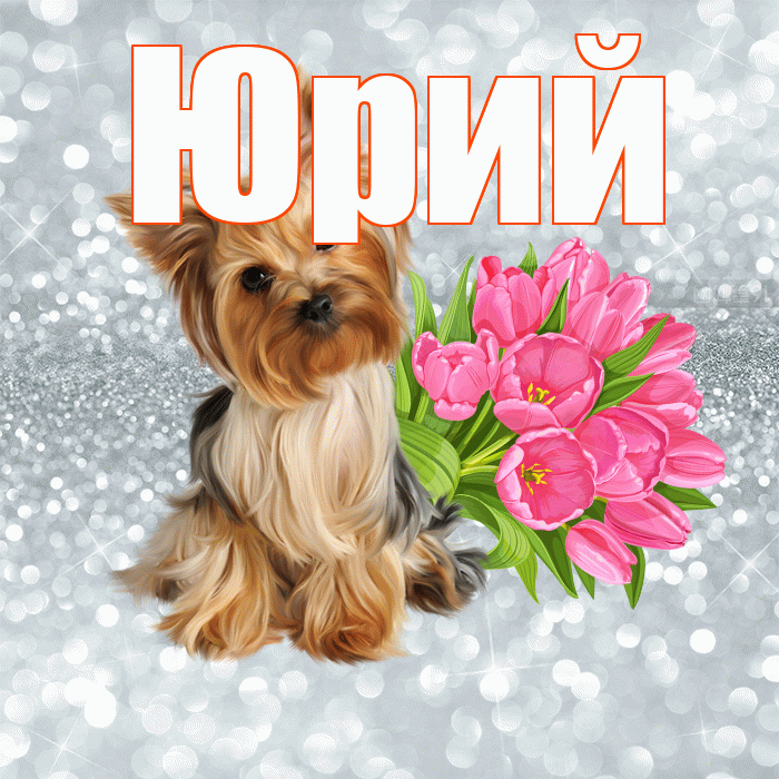 Юрий! С добрым утром! Красивая открытка Юрию!