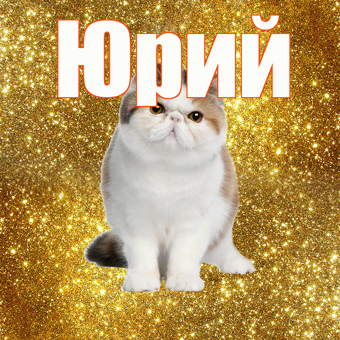 Юрий! С добрым утром! Красивая открытка Юрию!