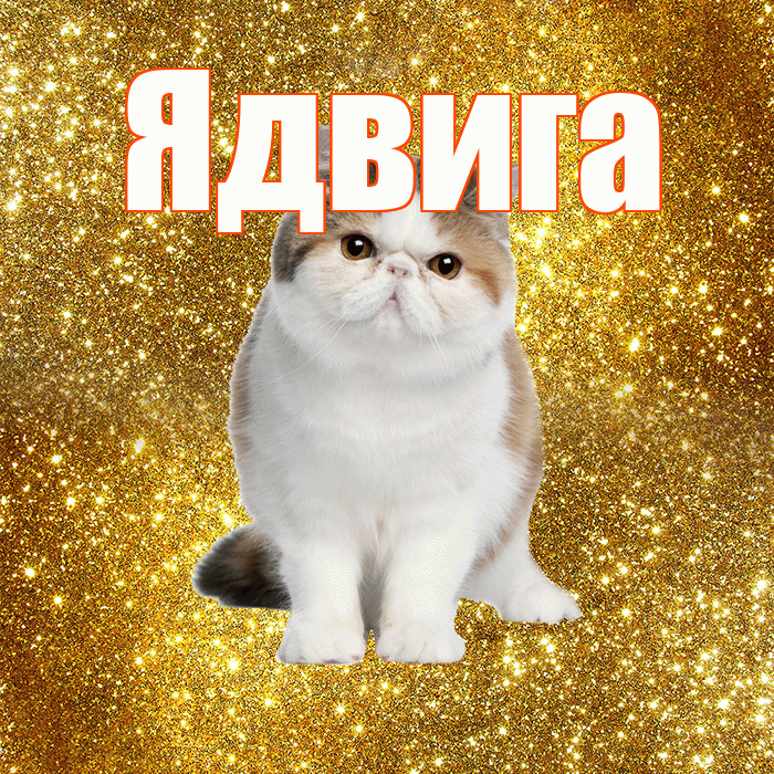 Ядвига! С добрым утром! Красивая открытка Ядвиге!