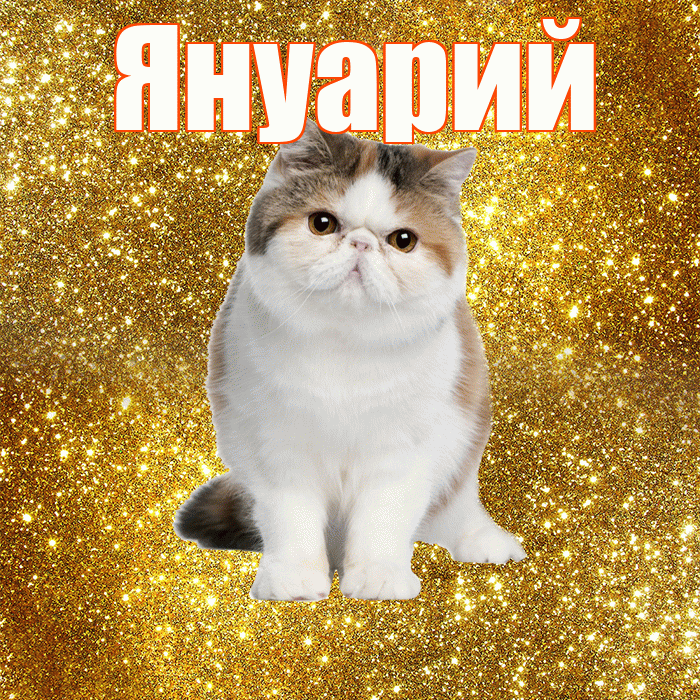 Януарий! С добрым утром! Красивая открытка Януарию!