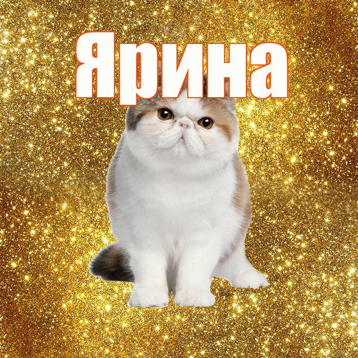 Ярина! С добрым утром! Красивая открытка Ярине!