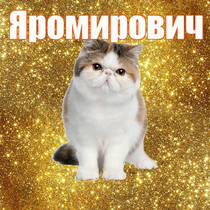 Яромирович! С добрым утром! Красивая открытка Яромировичу!