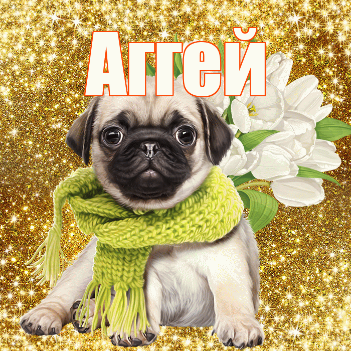 Аггей! С первым воскресеньем весны! Красивая открытка Аггею!