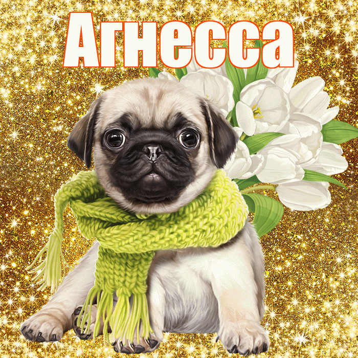 Агнесса! С первым воскресеньем весны! Красивая открытка Агнессе!
