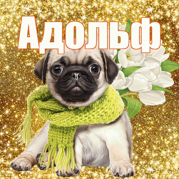 Адольф! С первым воскресеньем весны! Красивая открытка Адольфу!