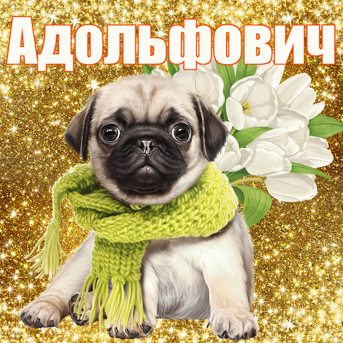 Адольфович! С первым воскресеньем весны! Красивая открытка Адольфовичу!