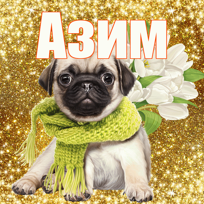 Азим! С первым воскресеньем весны! Красивая открытка Азиму!