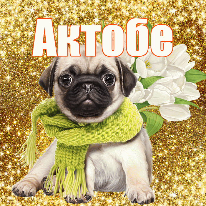 Актобе! С первым воскресеньем весны! Красивая открытка Актобе!