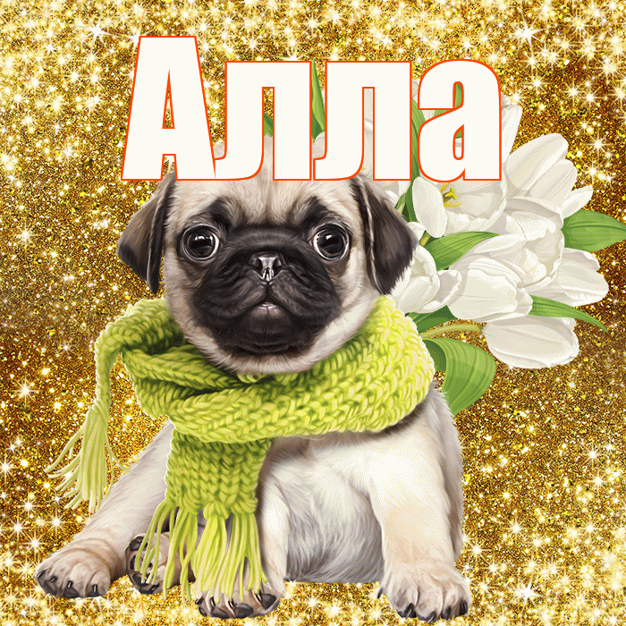 Алла! С первым воскресеньем весны! Красивая открытка Алле!
