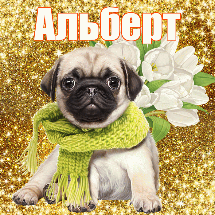 Альберт! С первым воскресеньем весны! Красивая открытка Альберту!