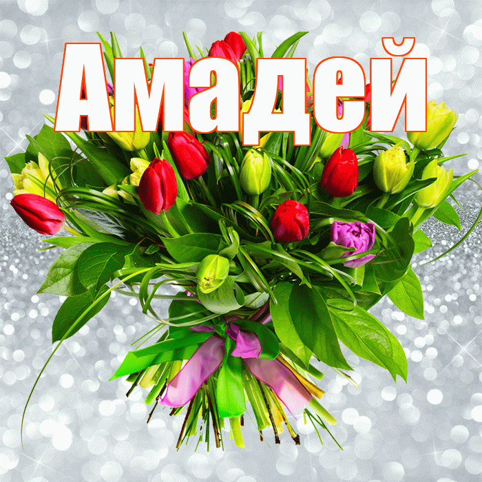 Амадей! С первым воскресеньем весны! Красивая открытка Амадею!