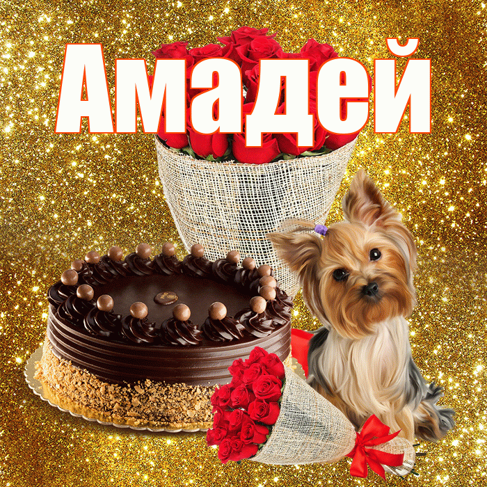 Амадей! С первым воскресеньем весны! Красивая открытка Амадею!