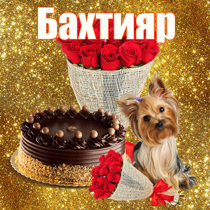 Бахтияр! С первым воскресеньем весны! Красивая открытка Бахтияру!