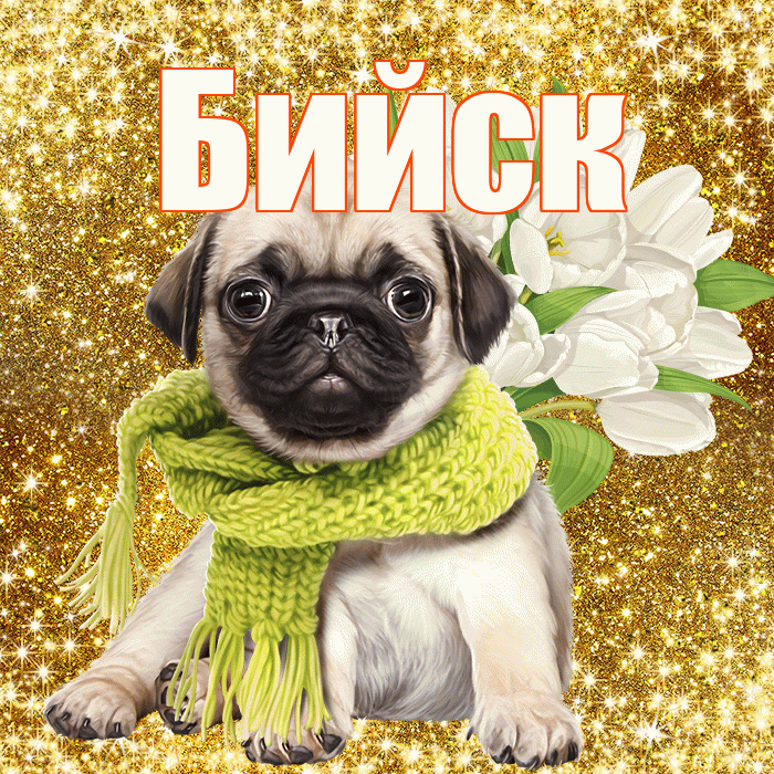 Бийск! С первым воскресеньем весны! Красивая открытка Бийску!