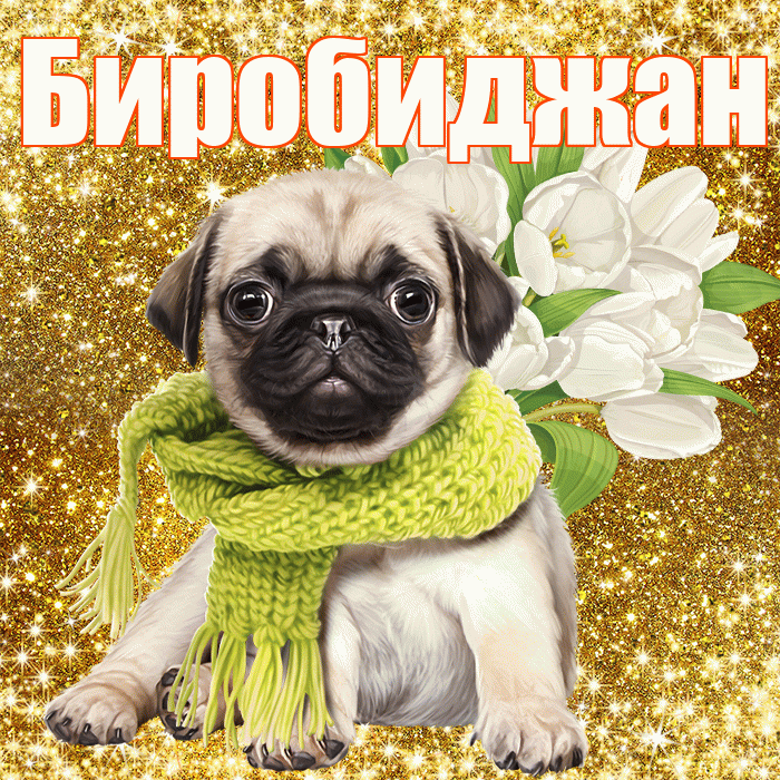 Биробиджан! С первым воскресеньем весны! Красивая открытка Биробиджану!