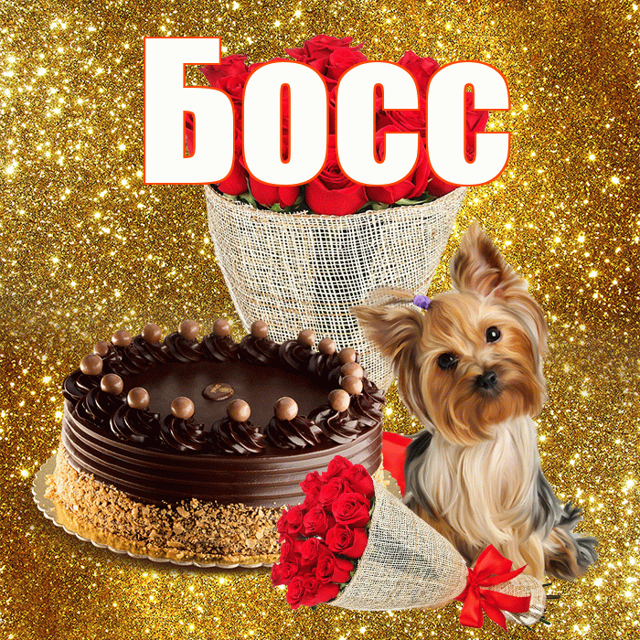 Босс! С первым воскресеньем весны! Красивая открытка Боссу!