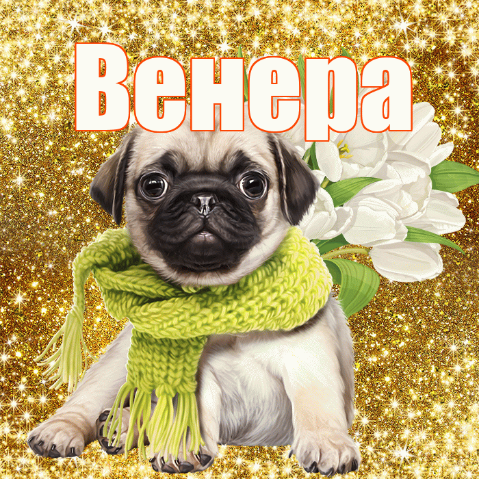 Венера! С первым воскресеньем весны! Красивая открытка Венере!