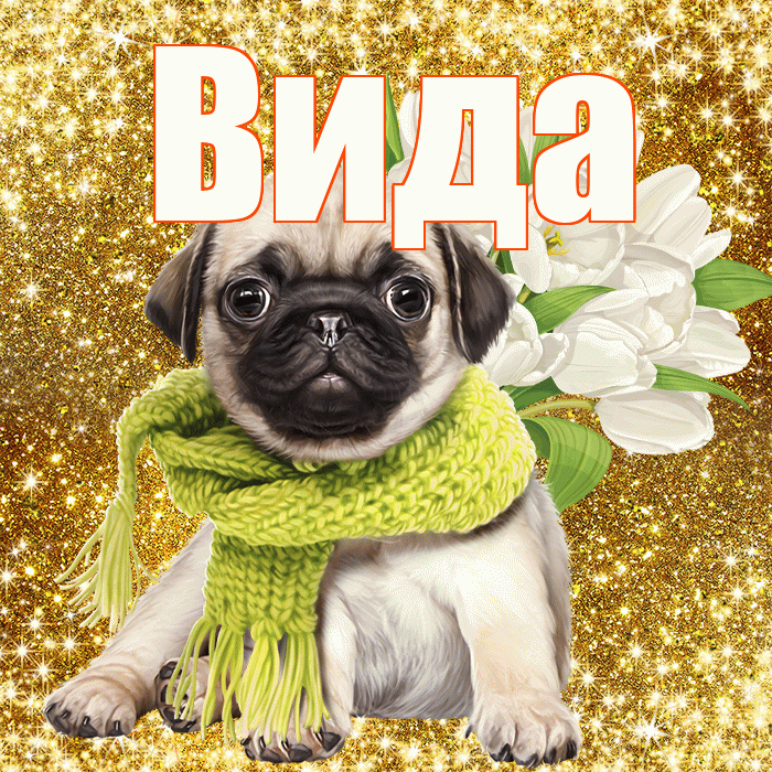 Вида! С первым воскресеньем весны! Красивая открытка Виду!