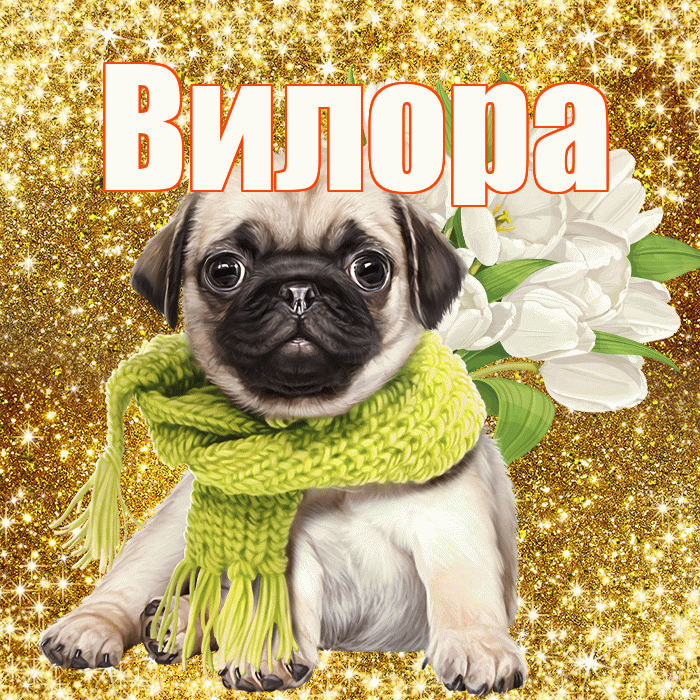 Вилора! С первым воскресеньем весны! Красивая открытка Вилору!