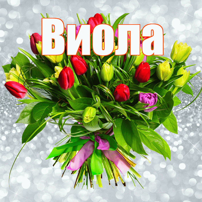 Виола! С первым воскресеньем весны! Красивая открытка !