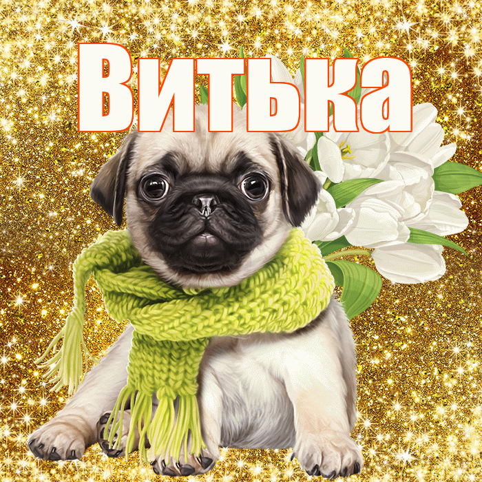 Витька! С первым воскресеньем весны! Красивая открытка !