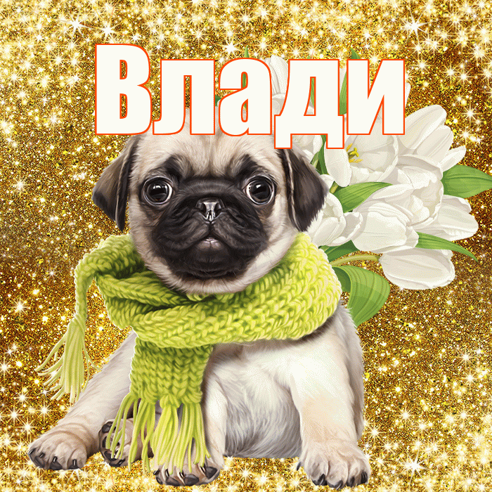 Влади! С первым воскресеньем весны! Красивая открытка !