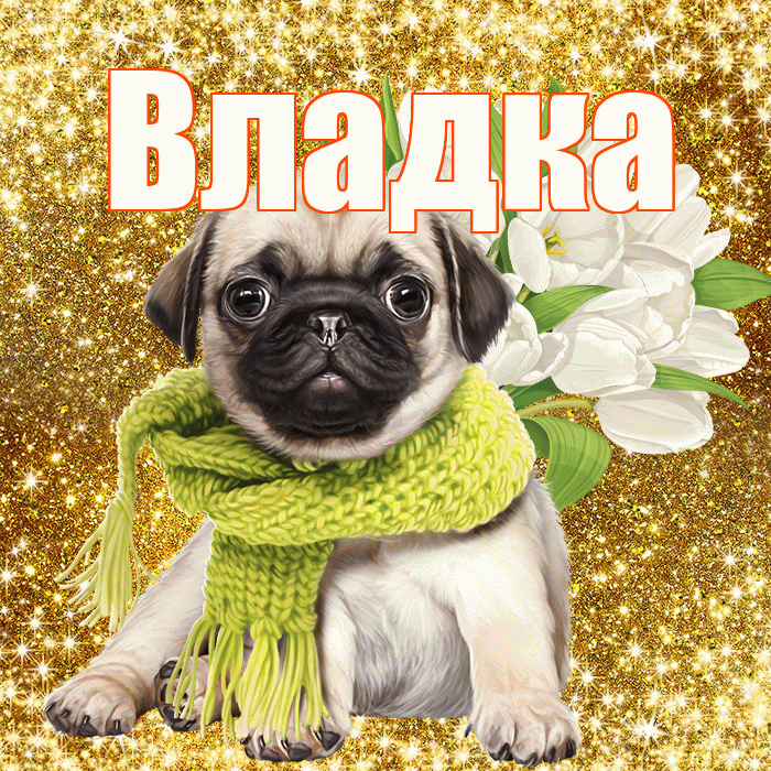 Владка! С первым воскресеньем весны! Красивая открытка !