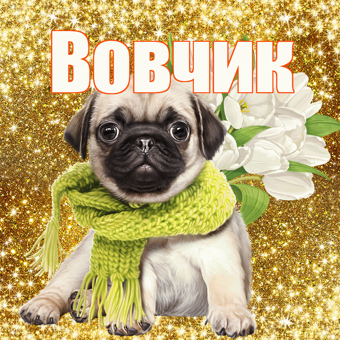 Вовчик! С первым воскресеньем весны! Красивая открытка !
