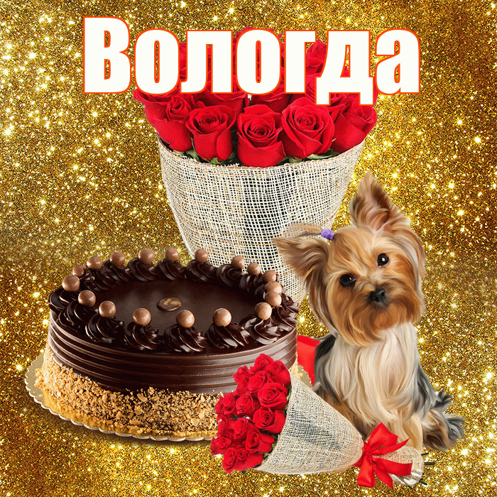 Вологда! С первым воскресеньем весны! Красивая открытка Вологде!