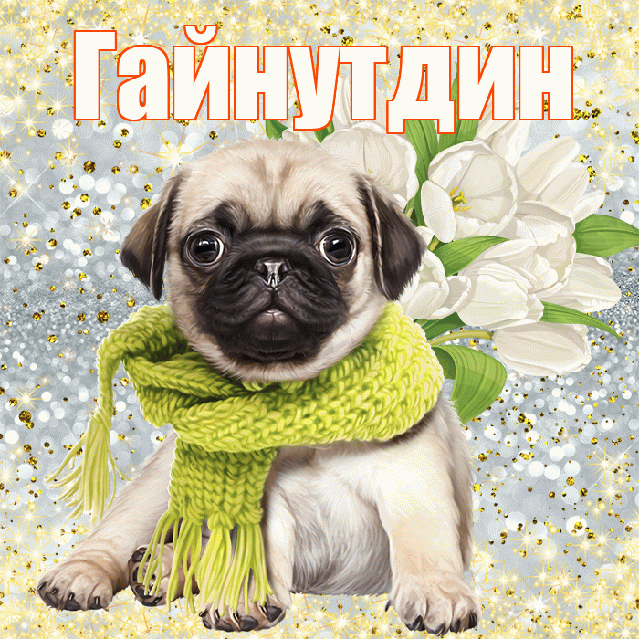 Гайнутдин! С первым воскресеньем весны! Красивая открытка Гайнутдину!