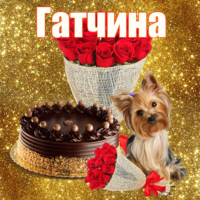 Гатчина! С первым воскресеньем весны! Красивая открытка Гатчине!