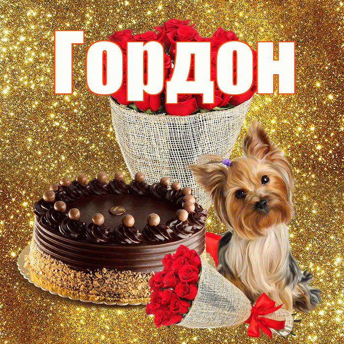 Гордон! С первым воскресеньем весны! Красивая открытка Гордону!