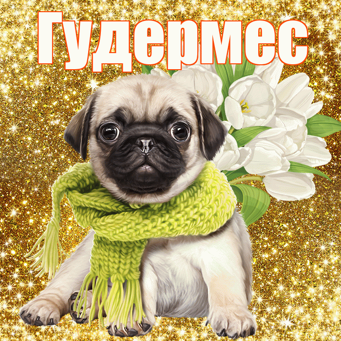 Гудермес! С первым воскресеньем весны! Красивая открытка Гудермесу!