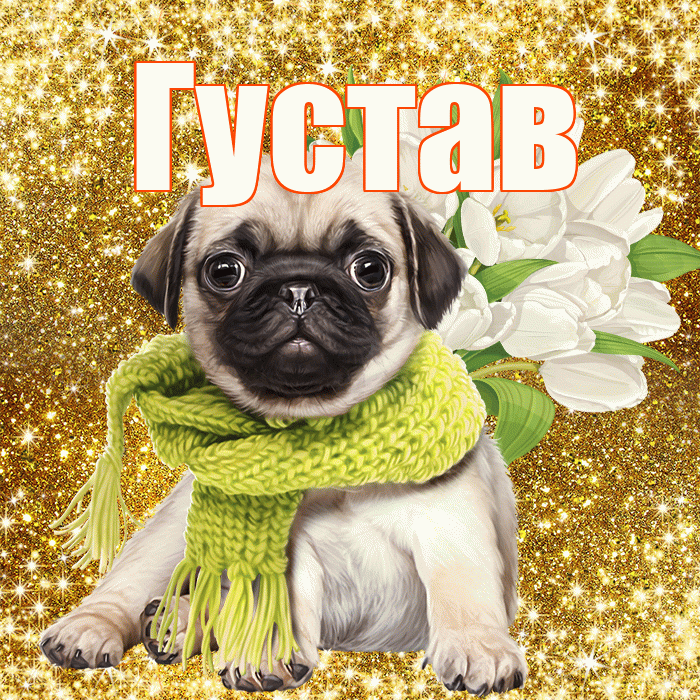 Густав! С первым воскресеньем весны! Красивая открытка Густаву!