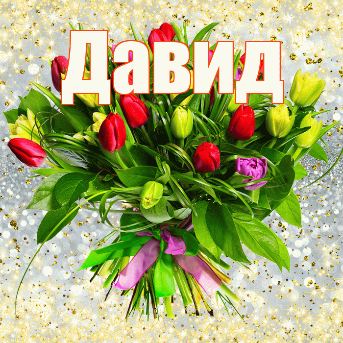 Давид! С первым воскресеньем весны! Красивая открытка Давиду!