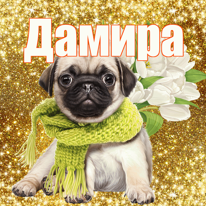 Дамира! С первым воскресеньем весны! Красивая открытка Дамире!