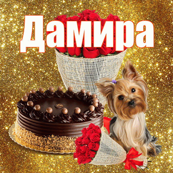 Дамира! С первым воскресеньем весны! Красивая открытка Дамире!