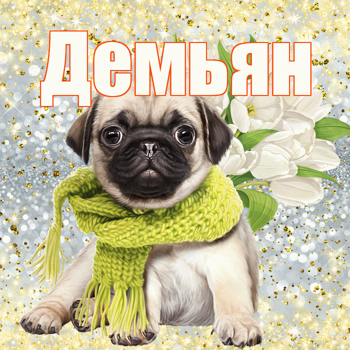 Демьян! С первым воскресеньем весны! Красивая открытка Демьяну!