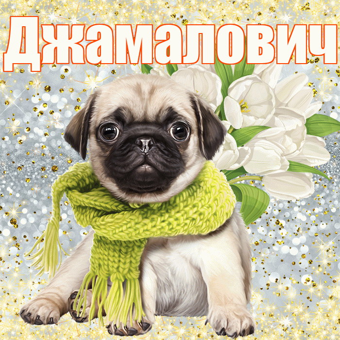 Джамалович! С первым воскресеньем весны! Красивая открытка Джамаловичу!