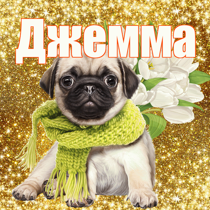 Джемма! С первым воскресеньем весны! Красивая открытка Джемме!