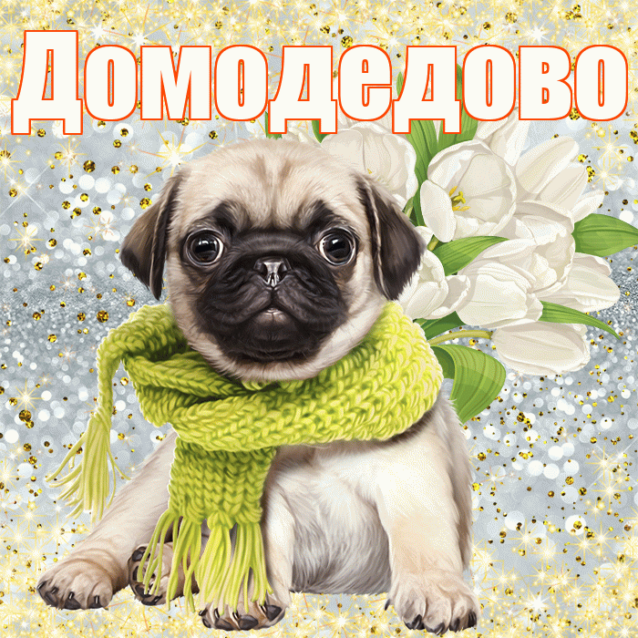 Домодедово! С первым воскресеньем весны! Красивая открытка Домодедово!